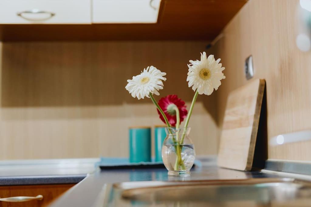 Cosy & Spacious Central Apartment 科莫蒂尼 外观 照片